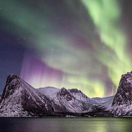 Senja Living Aparthotel Stonglandseidet Екстериор снимка