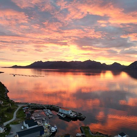 Senja Living Aparthotel Stonglandseidet Екстериор снимка