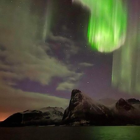 Senja Living Aparthotel Stonglandseidet Екстериор снимка