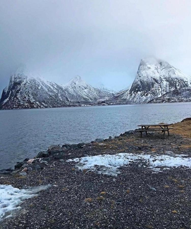 Senja Living Aparthotel Stonglandseidet Екстериор снимка