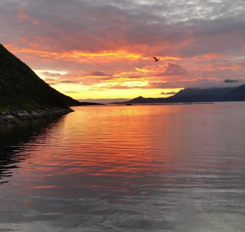Senja Living Aparthotel Stonglandseidet Екстериор снимка