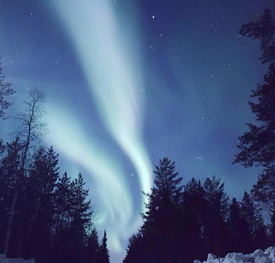 Senja Living Aparthotel Stonglandseidet Екстериор снимка