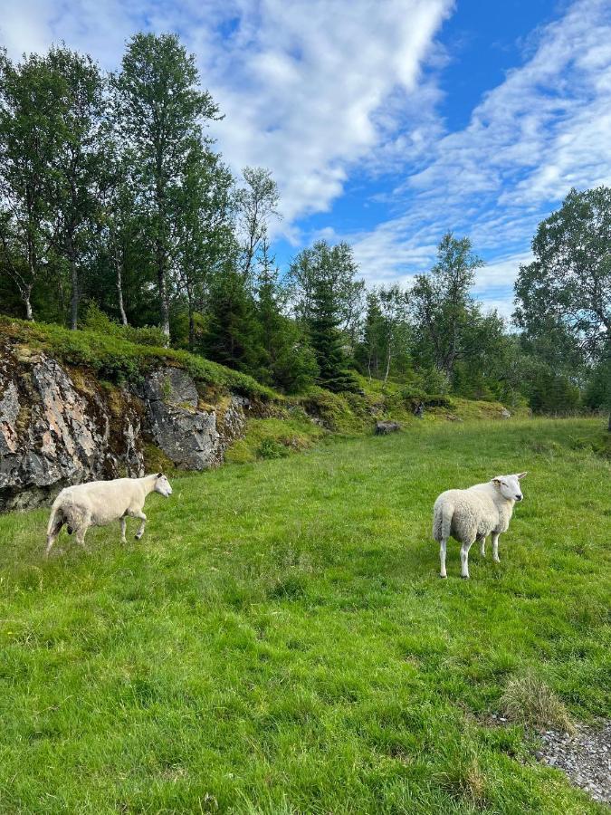 Senja Living Aparthotel Stonglandseidet Екстериор снимка
