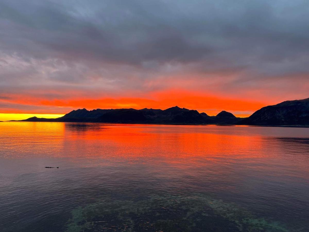 Senja Living Aparthotel Stonglandseidet Екстериор снимка
