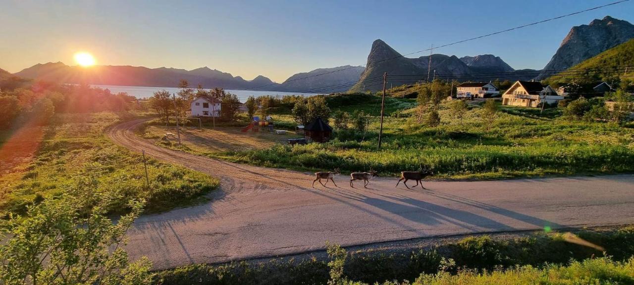 Senja Living Aparthotel Stonglandseidet Екстериор снимка